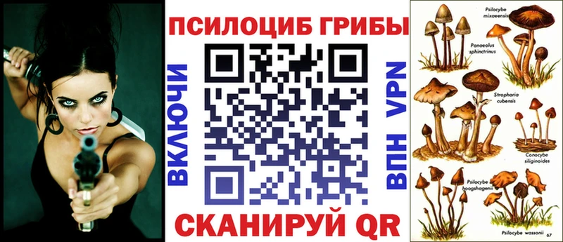 Псилоцибиновые грибы прущие грибы  Купить где  Красавино 